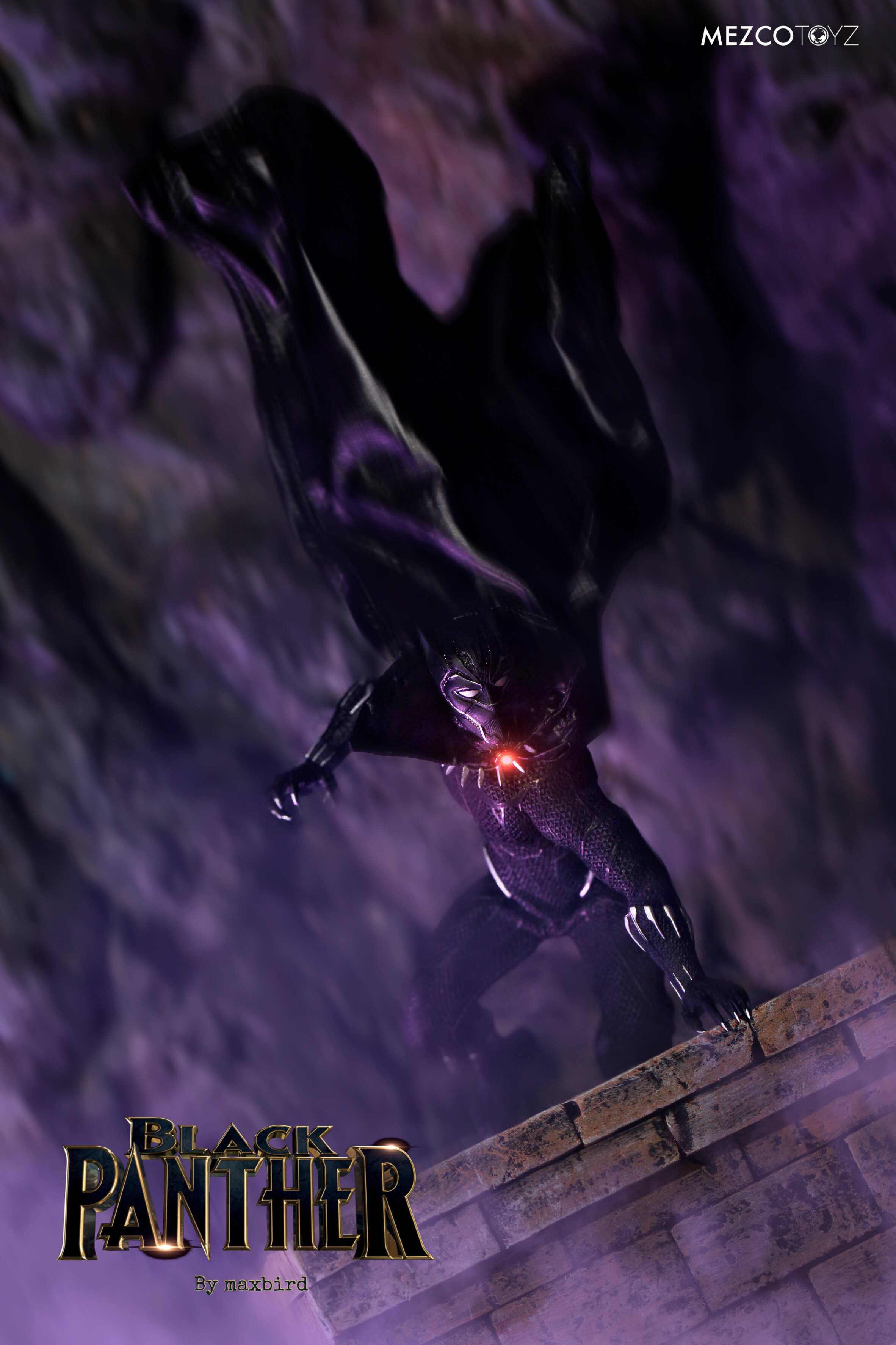 Black Panther With Cloak Figround